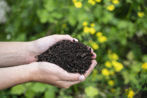 compost_main2