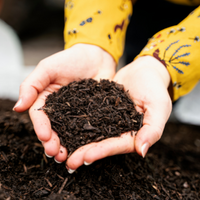 Nous transformons vos déchets en compost