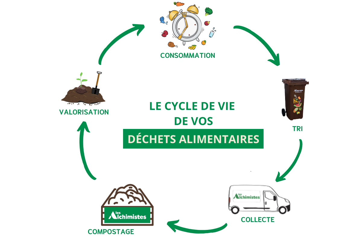 Cycle de vie déchets alimentaires