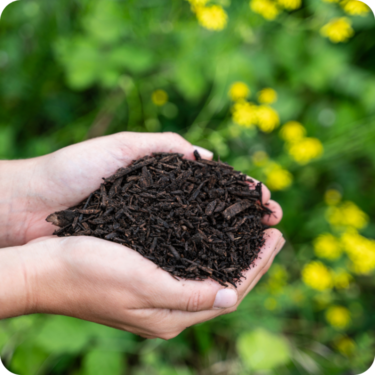 compost (1)