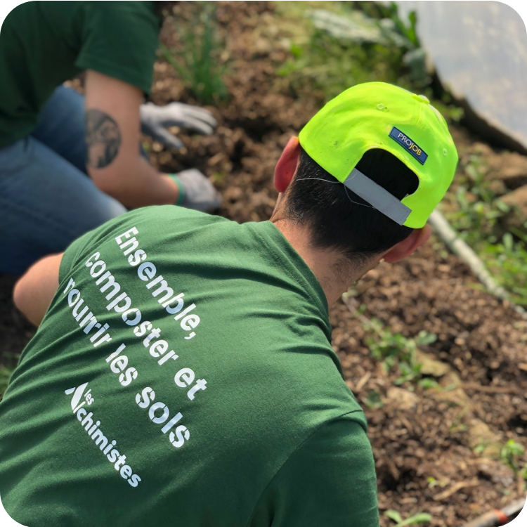 compost 3