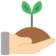 planter-un-arbre